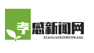 应城全域公交一体化运营，65岁以上老人免费乘车，便民出行再升级