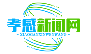 应城全域公交一体化运营，65岁以上老人免费乘车，便民出行再升级